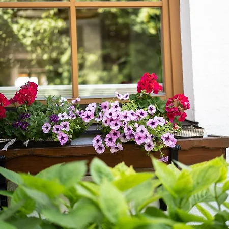 Διαμέρισμα Salzburg City&lake Elixhausen